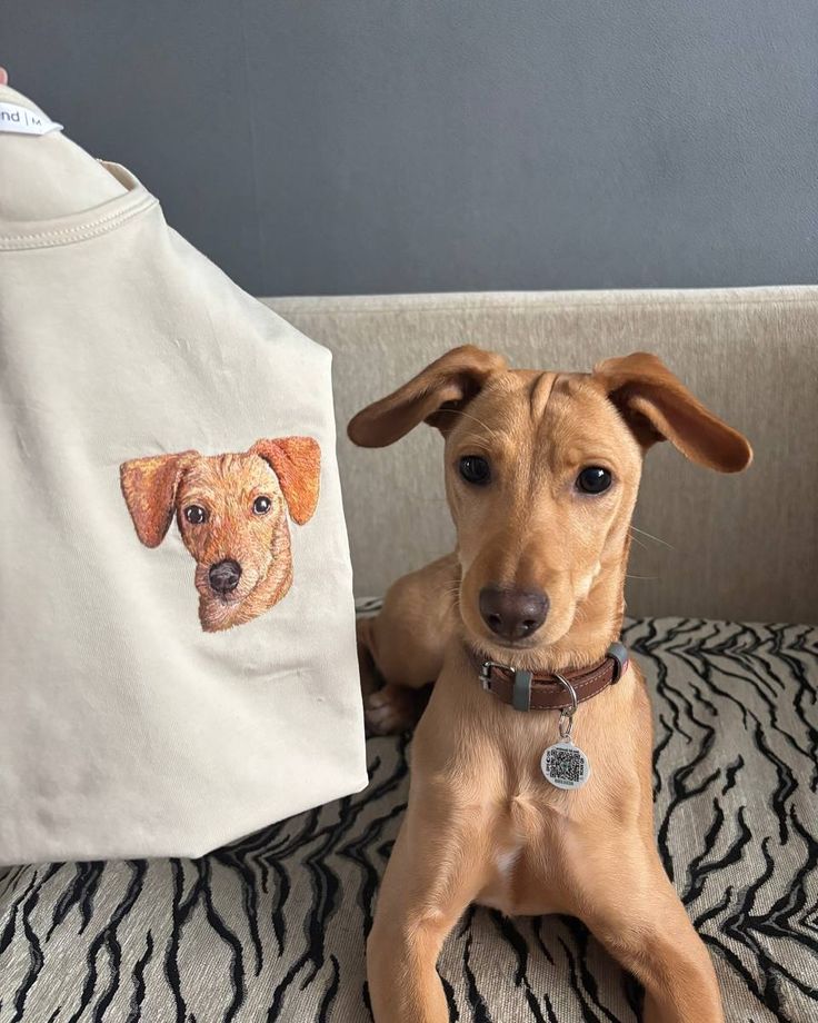 Polera personalizada con la cara y nombre de tu mascota 🐾