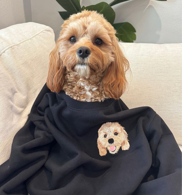 Poleron polo personalizado con la cara y nombre de tu mascota 🐾